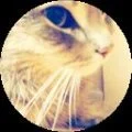 Charlene Roth Avatar